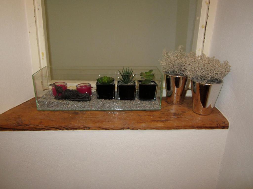 City-center Appartement *